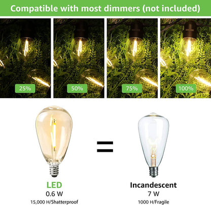 Lepro S14 Outdoor String Lights (50ft)