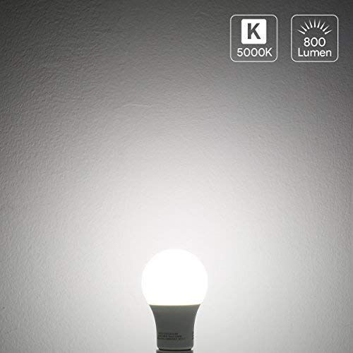 Lepro A19 LED Light Bulb