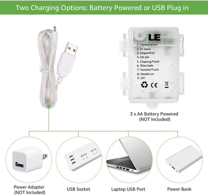 Lepro Fairy Curtain Lights (9.8 x 9.8 ft)