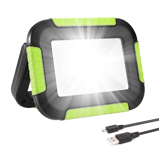 lepro 10W Portable LED Work Light